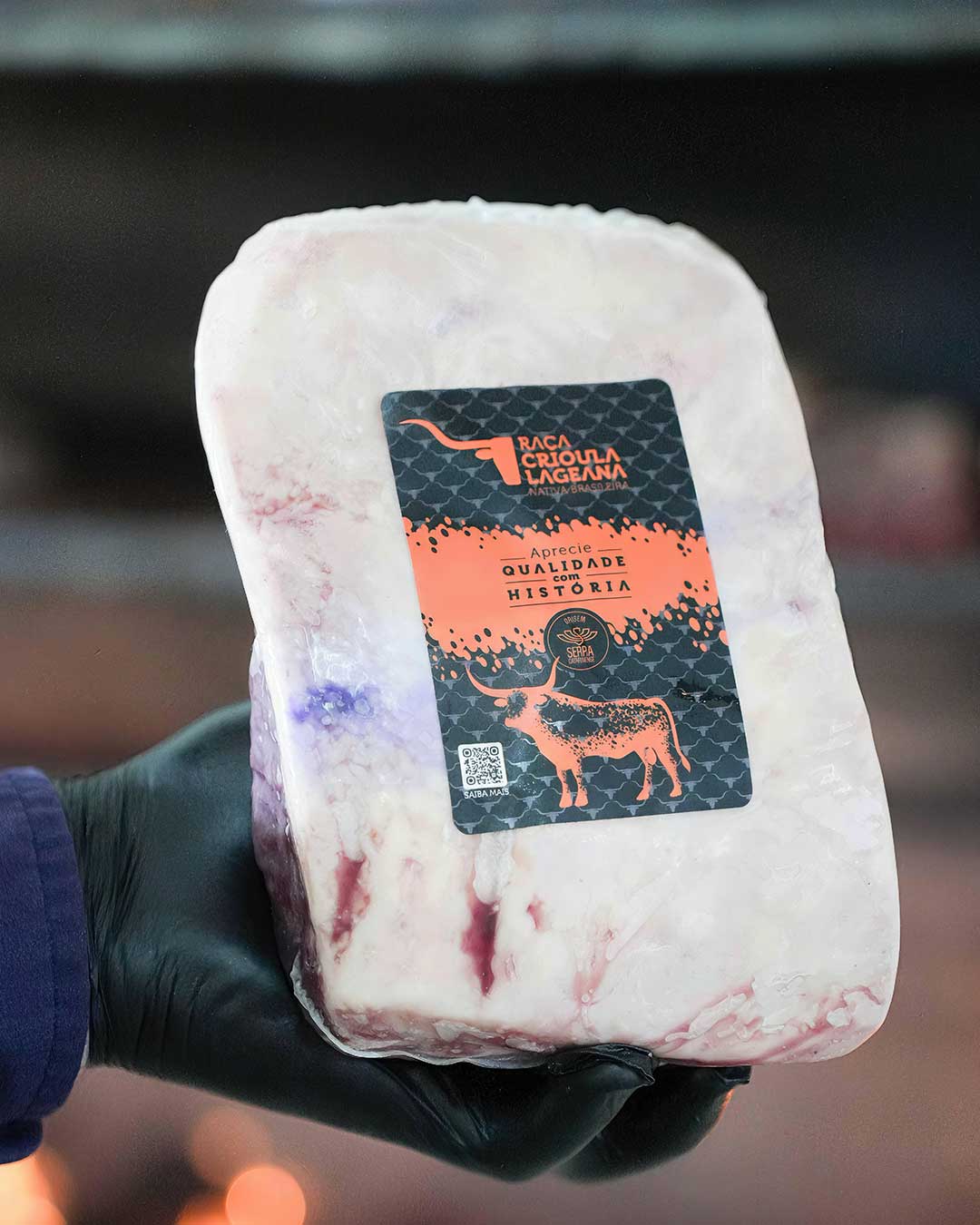 evento-festival-da-raca-crioula-lageana-hubsc-1-2